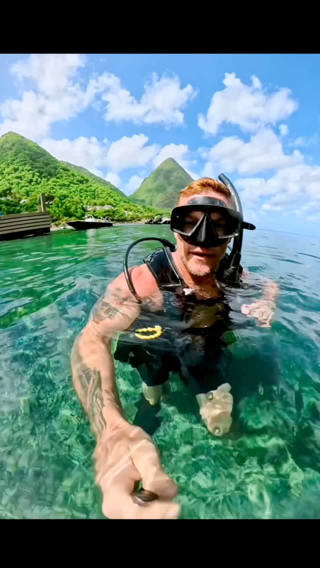 Scuba diving with the whole fam… I fear I may have peaked. How does it get better than this?