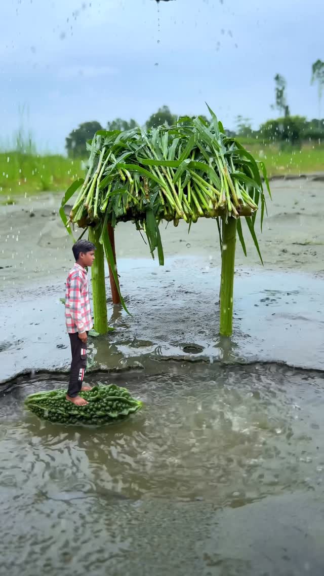 Grass house 🏡 creative videography idea 💡