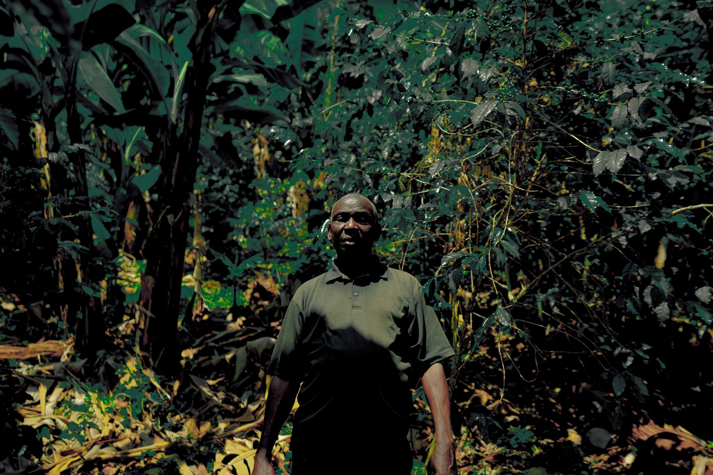 Vast green breath surrounds
though I walk the world alone,
its pulse beats in me.