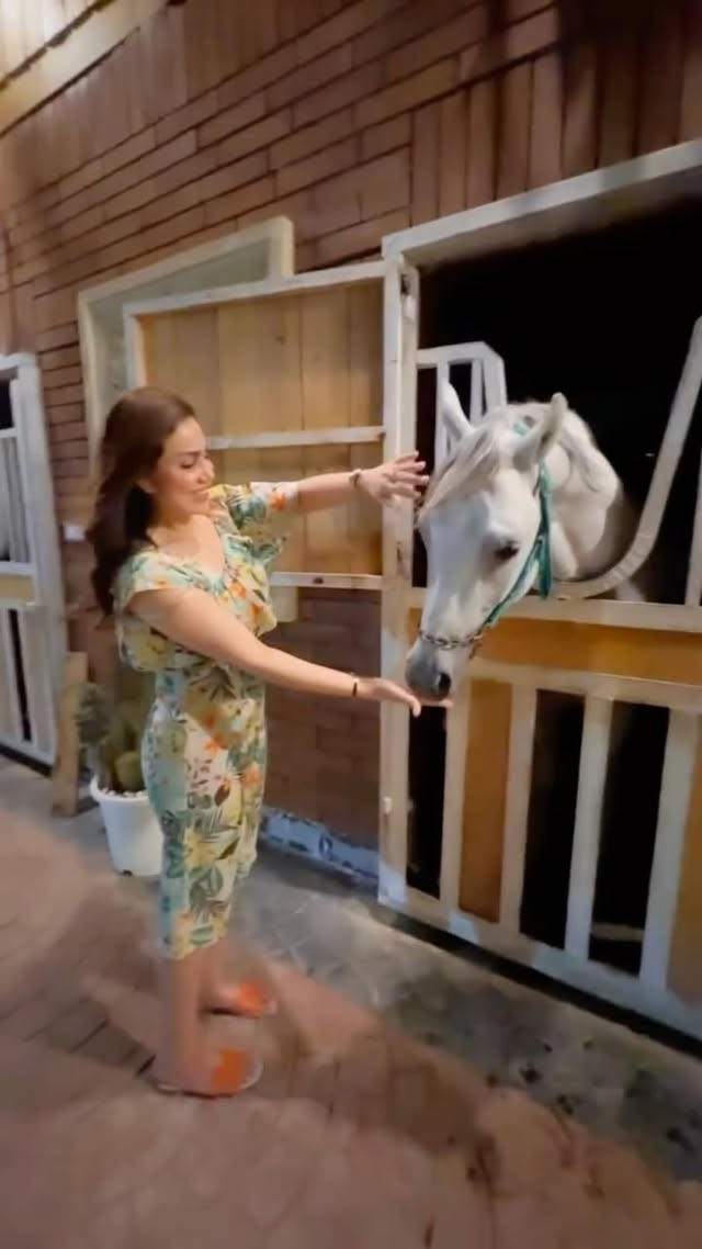 A day with horses is worth a thousand natural ones🐎