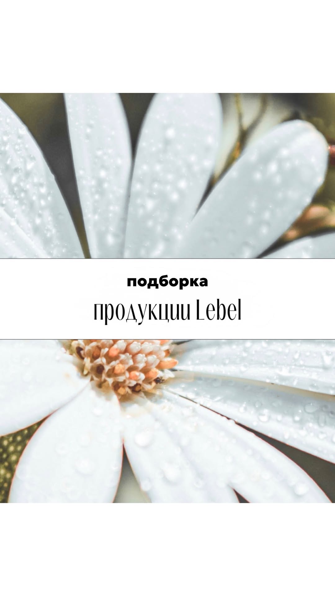 Подборка продукции Lebel от нашего технолога - Исаевой Анастасии!🌸
Мы рады представить Вам уникальную подборку средств от японского бренда Lebel, подобранную нашим талантливым технологом Исаевой Анастасией. В нашем салоне красоты @sonata_msk мы стремимся использовать только лучшие продукты для ухода за Вашими волосами, и Lebel — это именно то, что нужно!🫰🏼🙂↔️
✨ Что Вы найдете в нашей подборке?
• Шампуни и кондиционеры: бережно очищают и увлажняют волосы, придавая им здоровый блеск.
• Маски и сыворотки: интенсивное восстановление и питание для поврежденных волос.
• Стайлинговые средства: для создания идеальной укладки, которая продержится весь день.
💇♀️Приходите в @sonata_msk, чтобы узнать больше о нашей подборке и получить профессиональную консультацию от Исаевой Анастасии!
Позвольте Вашим волосам стать предметом восхищения!🫧💆🏼♀️
📞 Записывайтесь на процедуры по телефону +7 (495) 930-15-38 или онлайн в шапке профиля!