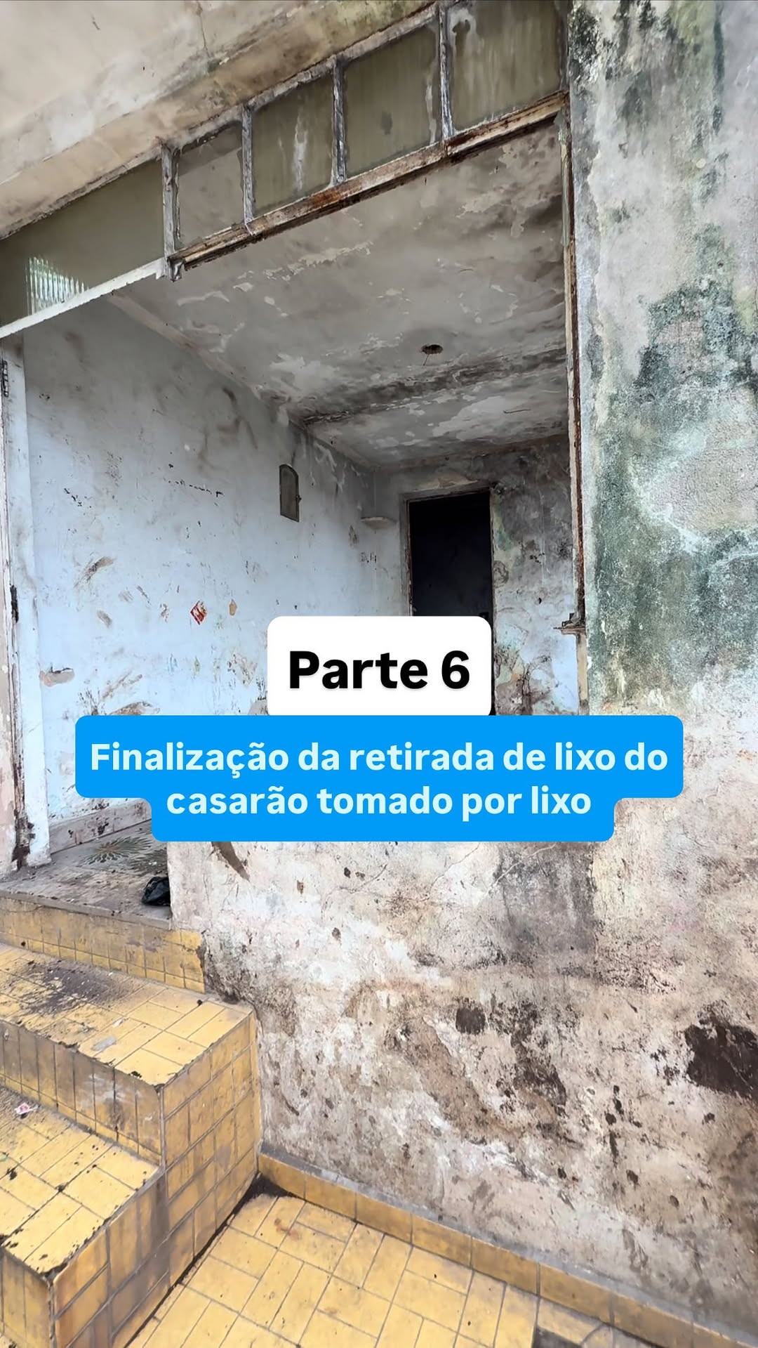 Primeira fase dessa jornada nada fácil chegou ao fim , 9 dias de muito trabalho físico e mental, Mas conseguimos chegar até esse final com uma grande esperança que as próximas fases serão melhores, lucy já é uma vencedora e a história dela será exemplo para tantas vidas! Pq ela mostrou que mesmo estando “sozinha” ela foi forte e se manteve de pé, o lixo era só o telhado de proteção! Mas por trás dele existe uma mulher guerreira e bondosa 🥺