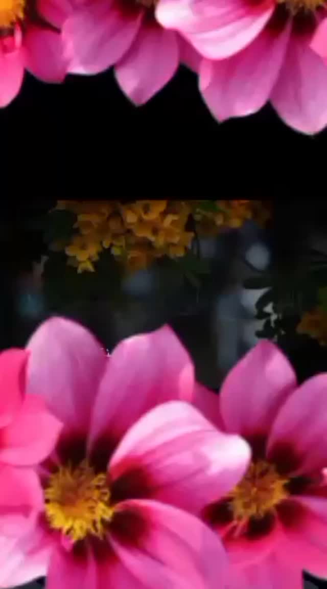 اللهم ٱمين