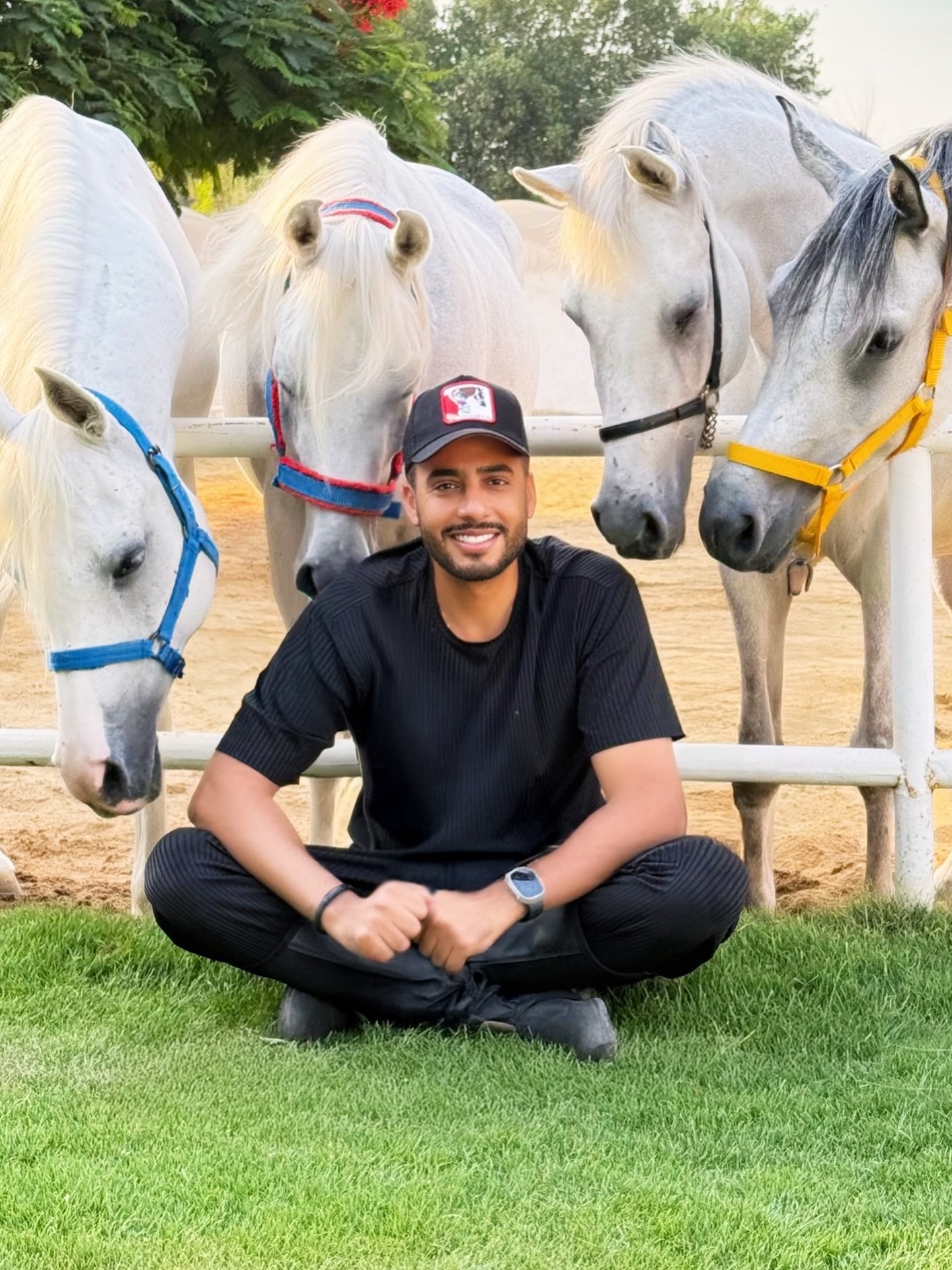 سبحانة من خلق 💙🐴🐴