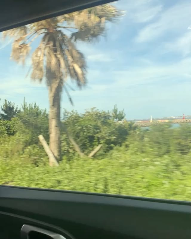 다시 현생을 살아보자