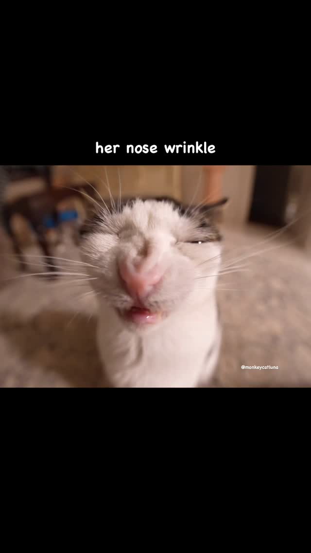 Full video on YouTube