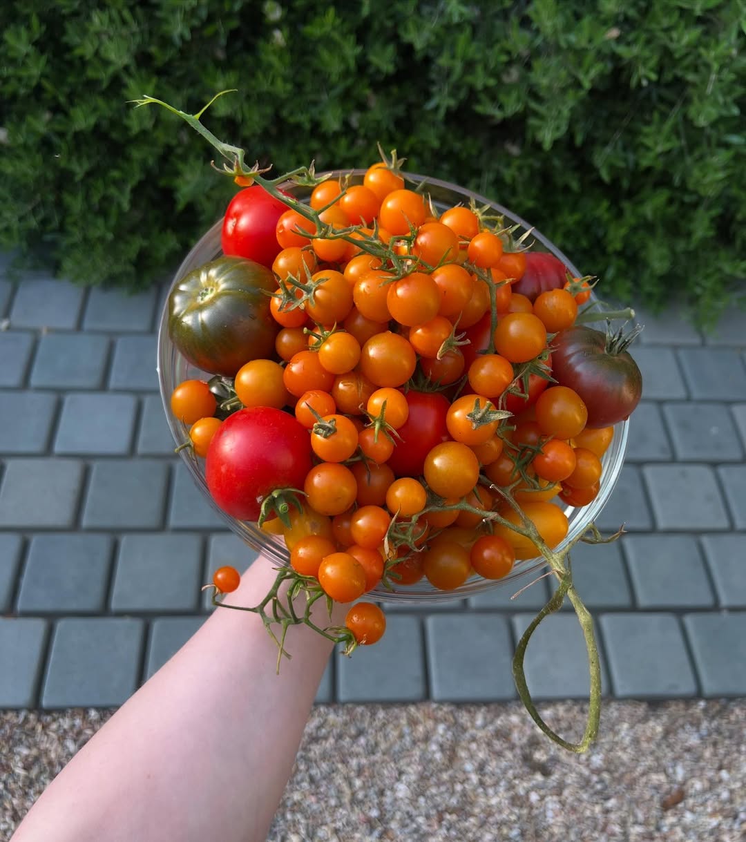 every selfie has to be balanced out with tomatoes