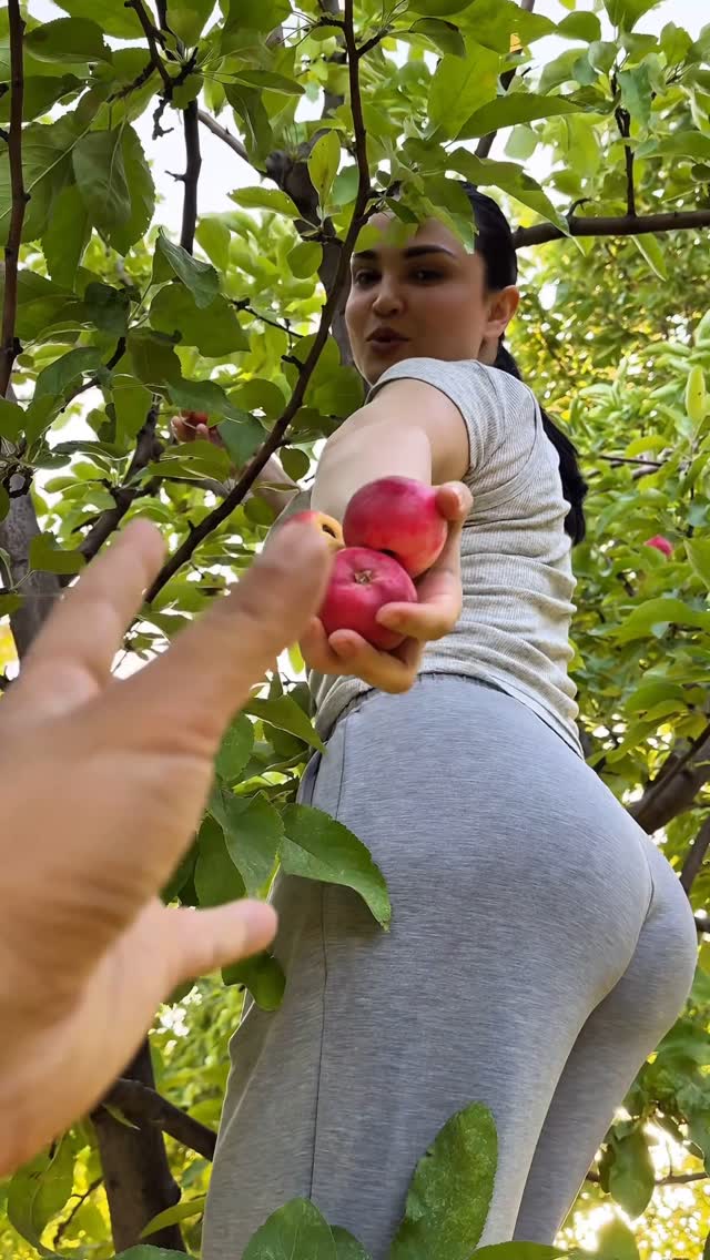 Келила дўстлар ўзимизи боғдан олма йимиз🥹🍎