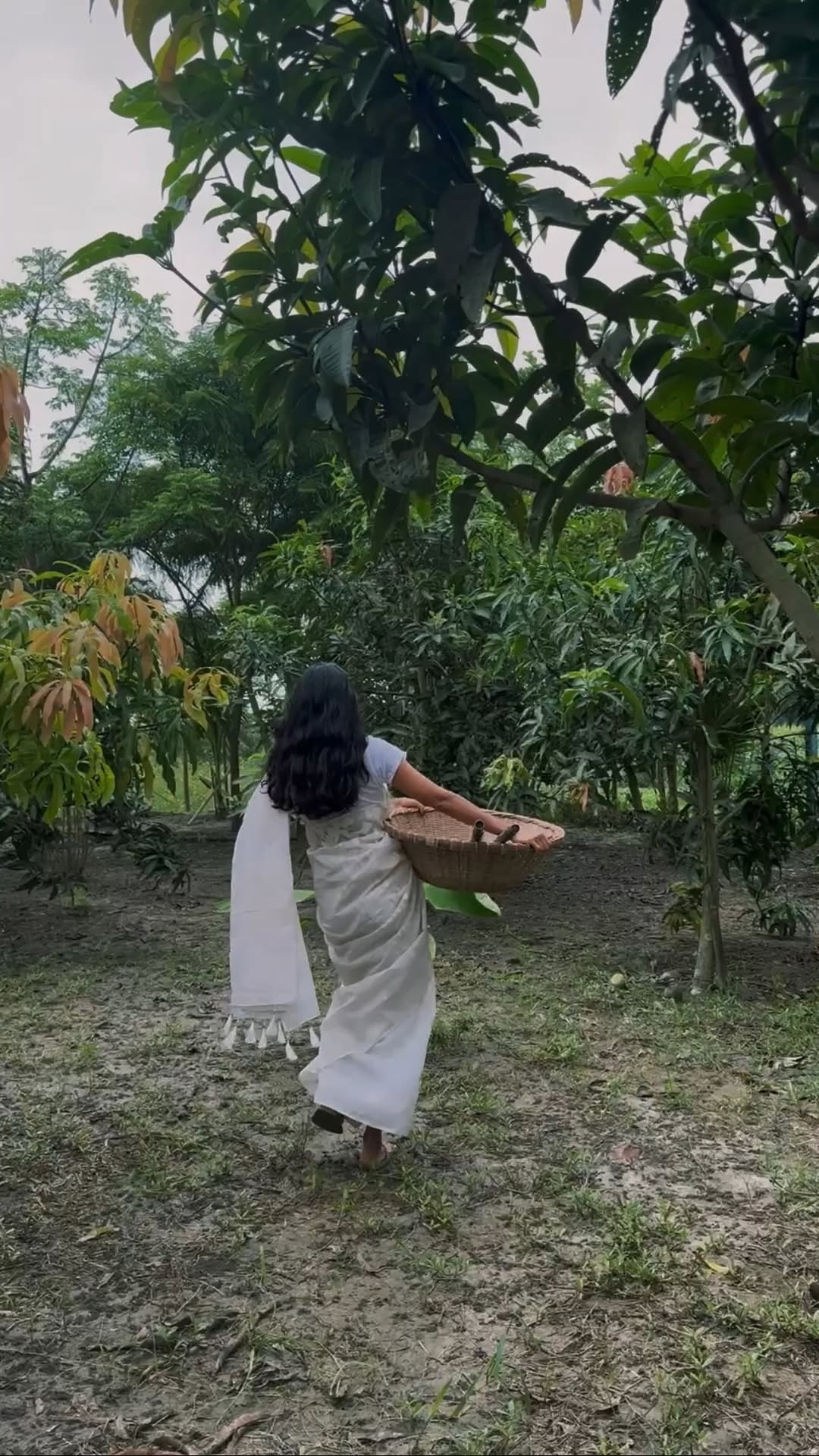 Mangoes Called Me Home to Bangladeshð§ð©ð¥
ãã³ãŽãŒã®å£ç¯ã«æ
é·ã®ãã³ã°ã©ãã·ã¥ã«åž°ã£ãŠãããâª
æž©ãã倪éœãšæ¶Œãã颚ã
çãå®ããã³ãŽãŒéã
å®¶æã®æãšæã®äººéã®åªããã