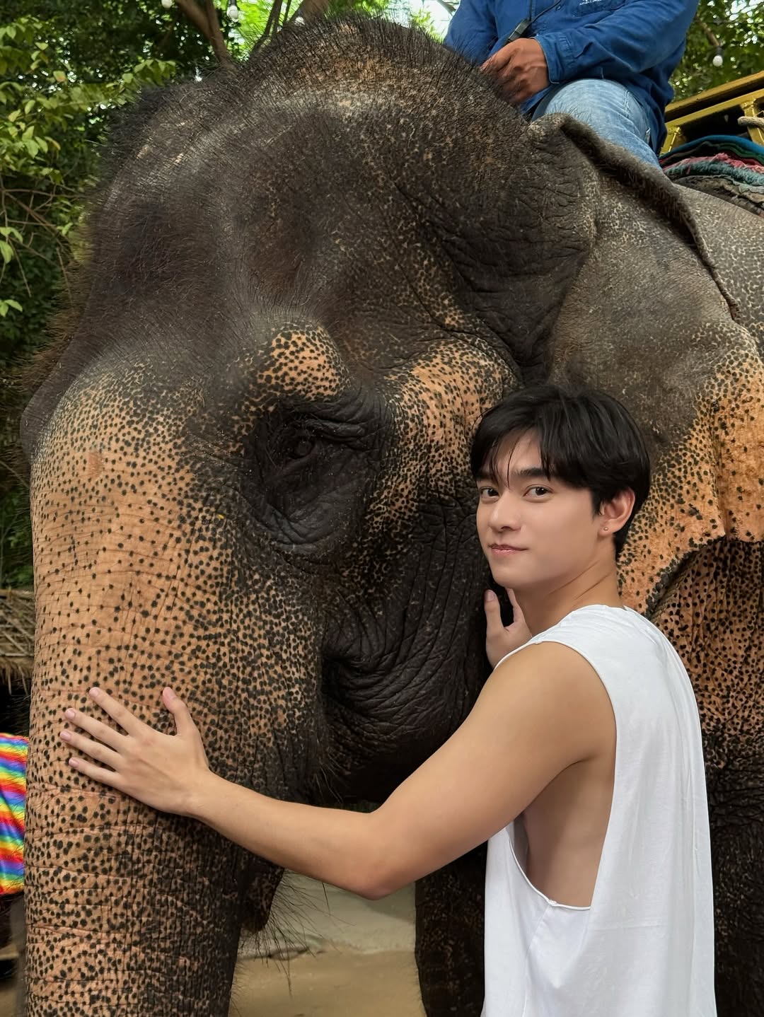 ช้างน้อย