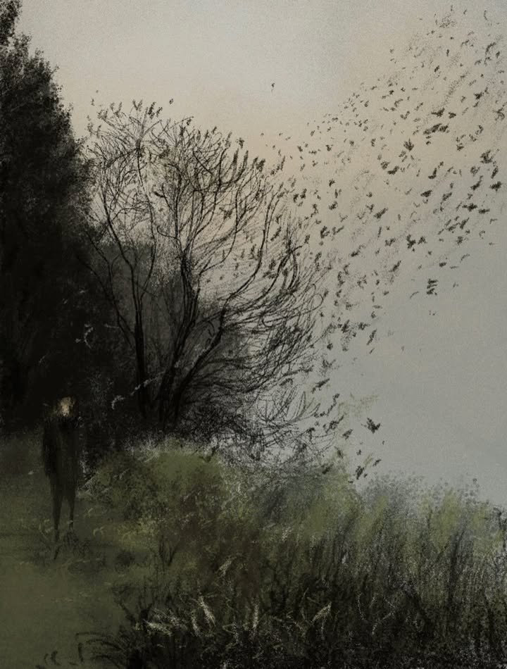 Early crisp
#pascalcampion