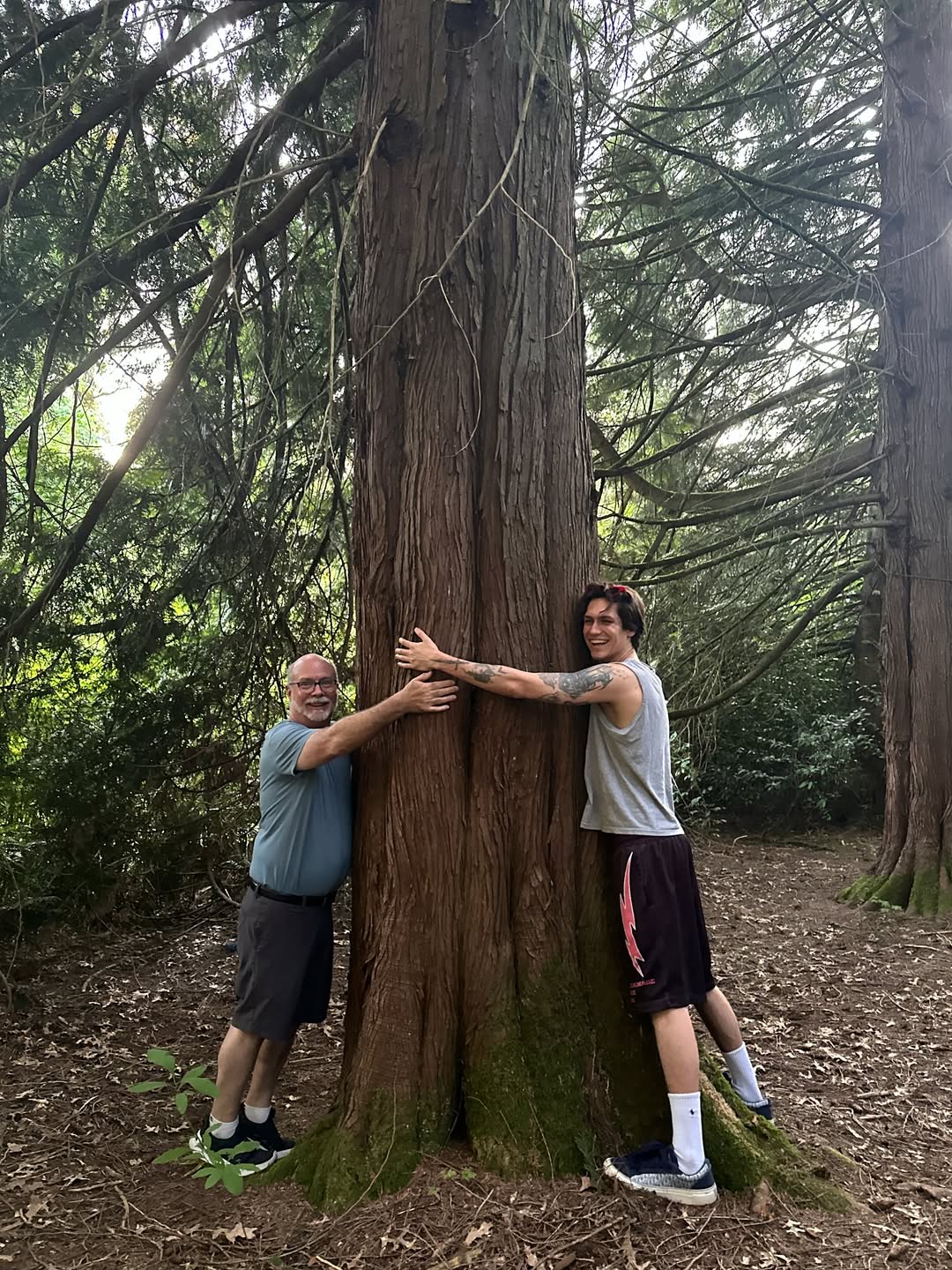 tree huggers