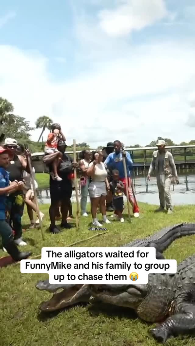 Somebody had to live to tell the story 😂😂😂