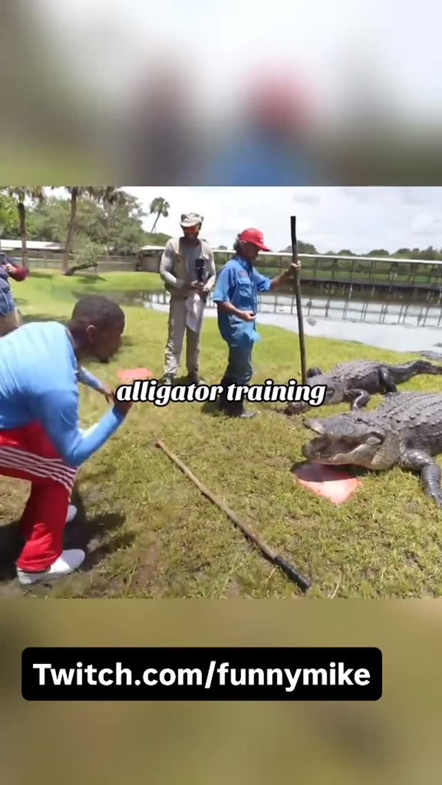😂😂