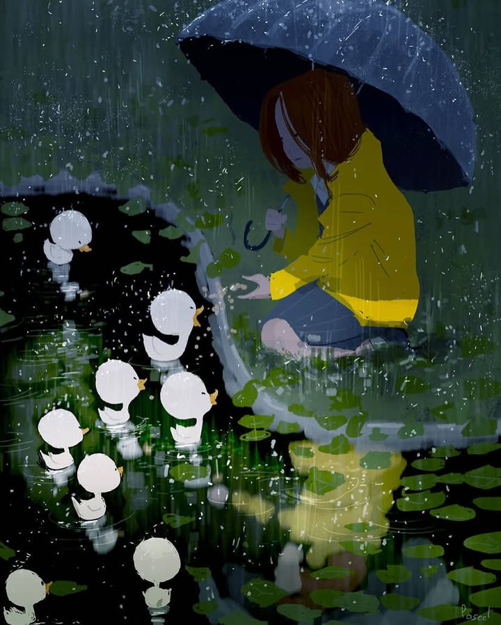 My rainy day friends
#pascalcampion