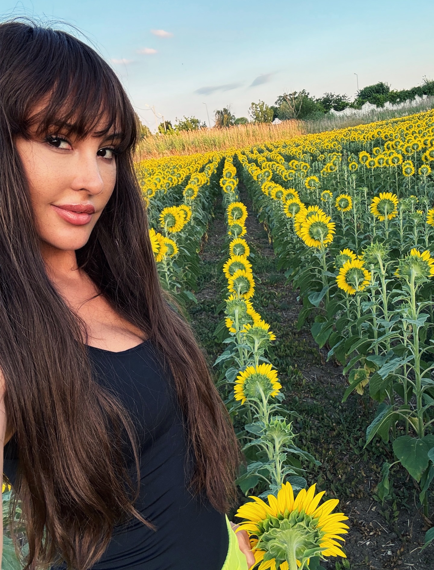 🌿🌻