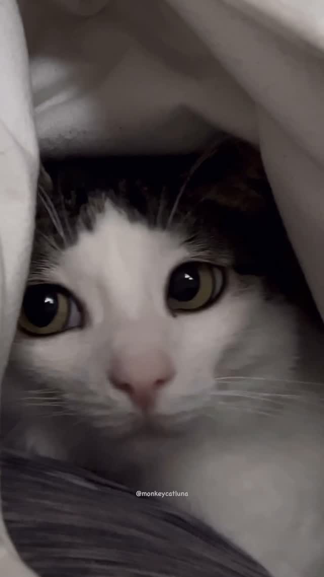 Sweet baby