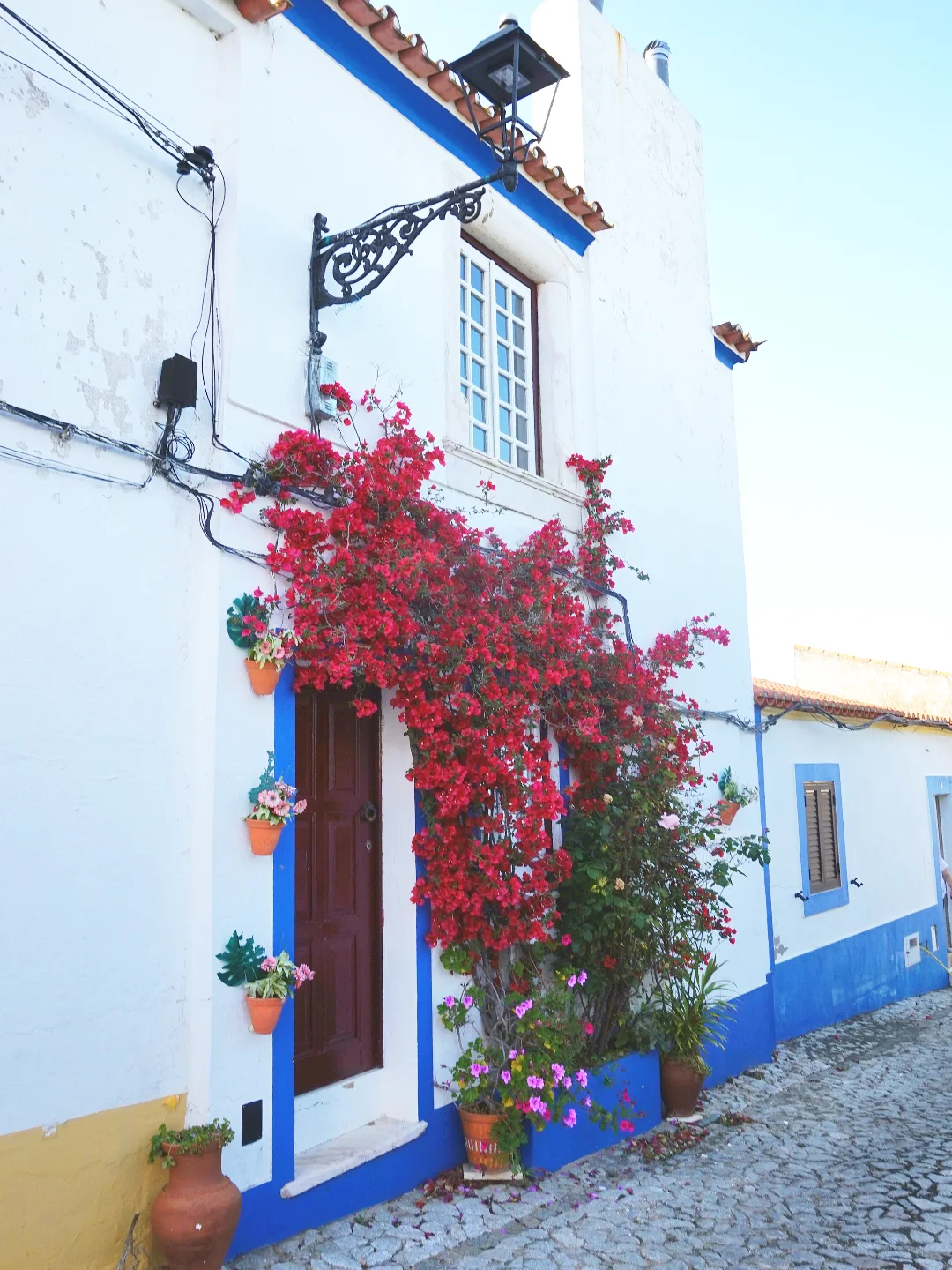 Terena, Evora, Portugal
.
.
.
.
.
#be_one_doorsandwindows
#9vaga_doorsandwindows9
#total_doorsandwindows
#thebest_windowsdoors
#amazing_windowsdoors
#alluring_windoors
#world_doorsandwindows
#wallspoetry
#portasejanelaspelomundo
#windows_photogroup
#housesphototrip
#be_one_houses
#doorswindows_greatshots
#world_doorsandwindows
#thebest_windowsdoors
#simpleisbeautifulphotography
#doorswindowsdetails
#jardim
#flowerspotspoetry
#houses
#housesphototrip
.