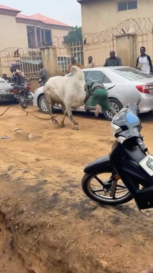 Never seen anyone bolder than him 😂