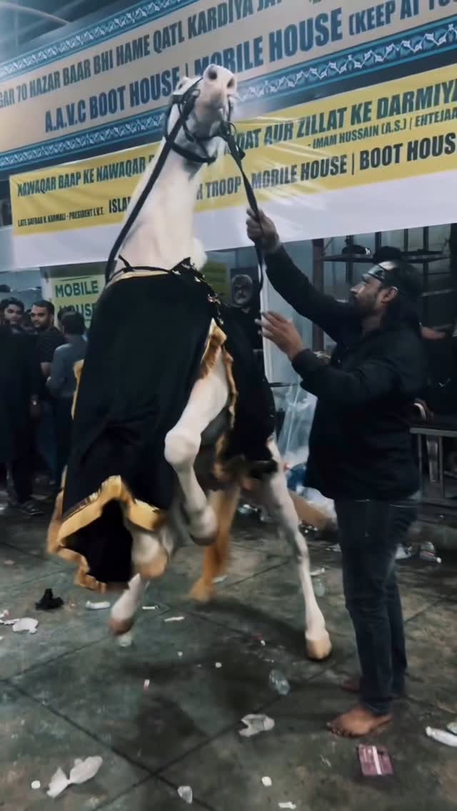 Haq Hussain Maula Hussain ❤️ Labbaik Ya Hussain (AS)
#muharam #maulaali #haqhussain #maulahussain