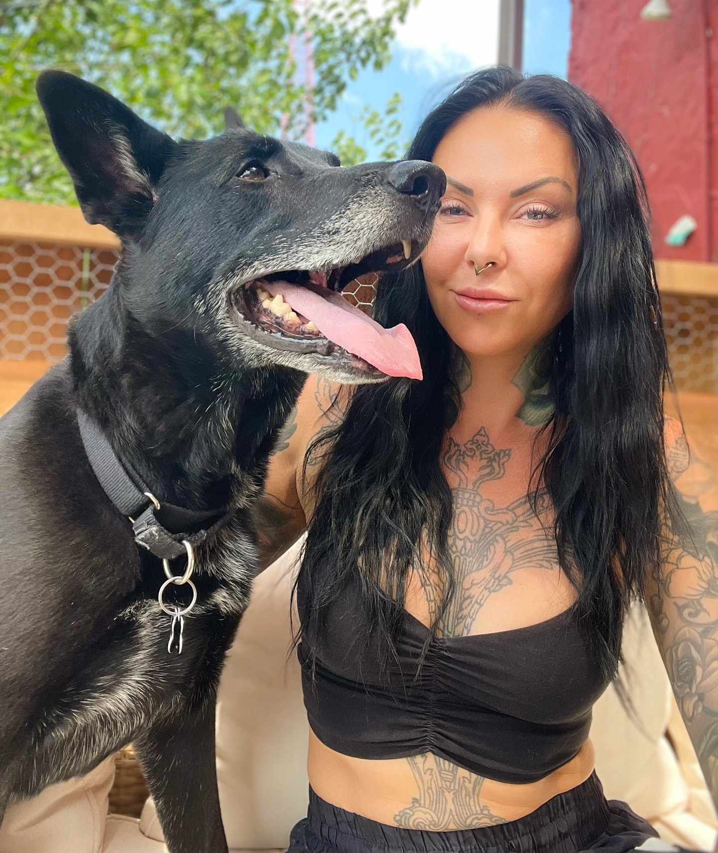 Enjoying a day with a slower pace 🤘 Lucien on the other hand …. Ohhh he’s not a fan of the booms.
Hope everyone has a fun and safe day! 👁️
#malinoislife #4thofjuly