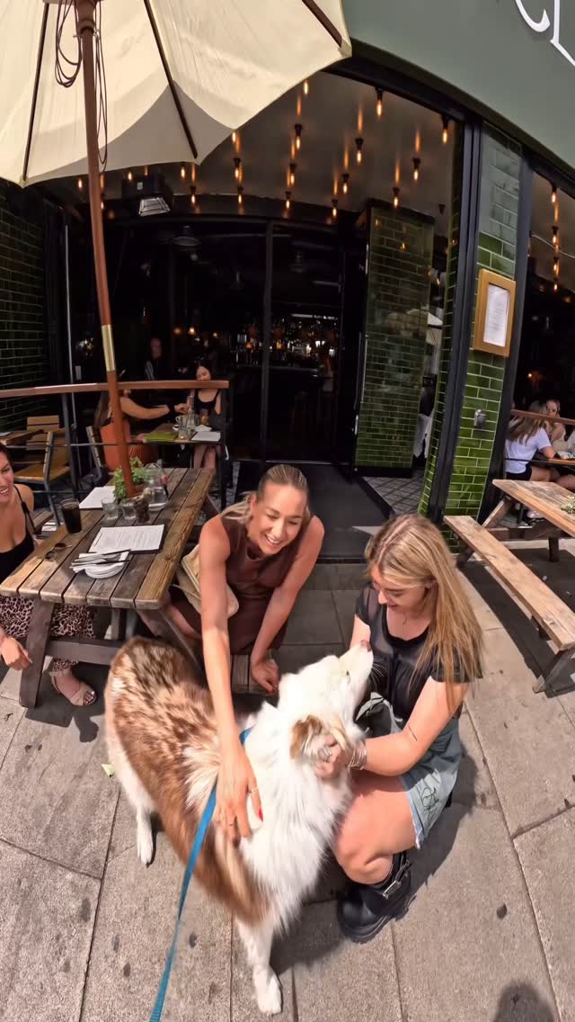 Interactions with my dog!!
#husky #dog #pets #fyp #viral #famous #trending
#reels #trendingreels #dogoftheday #puppy #foryou
#violasnow #dogsofinstagram #wshh #pubity #meta #animallovers #puppylove #viralvideos #viral #fyp #doggo #dogsoflondon #balham #happy