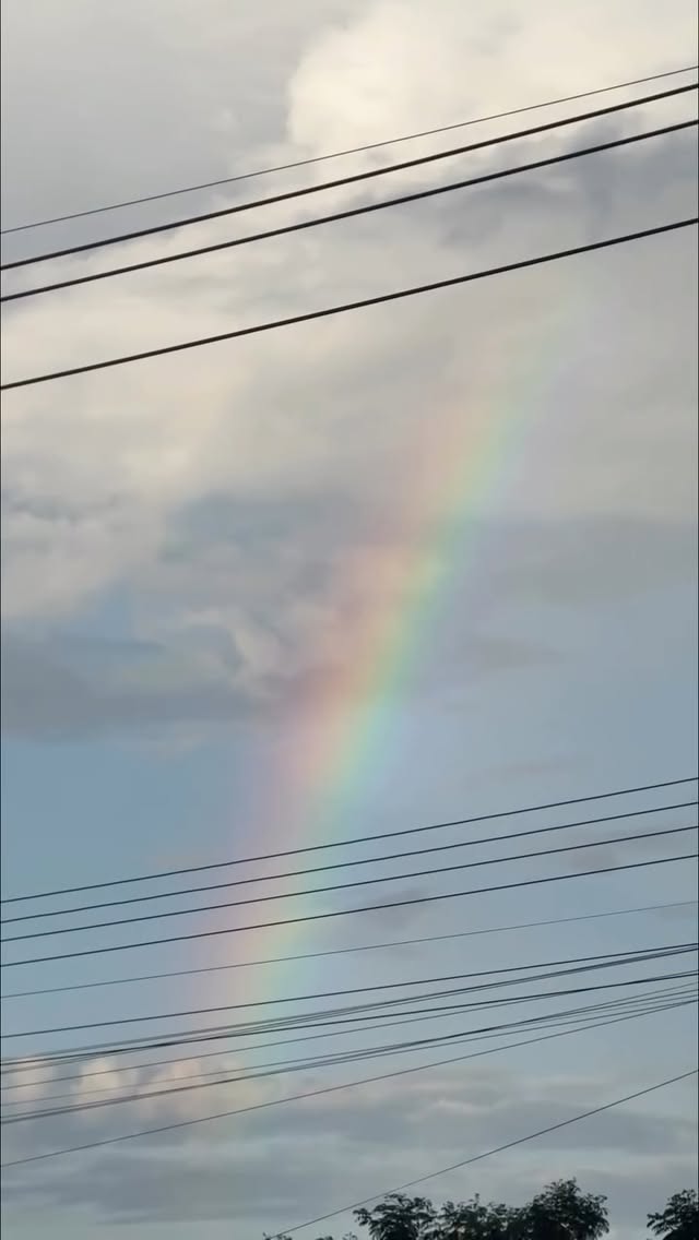 หนึ่งสิ่งที่สวยงามของฤดูฝน🌈