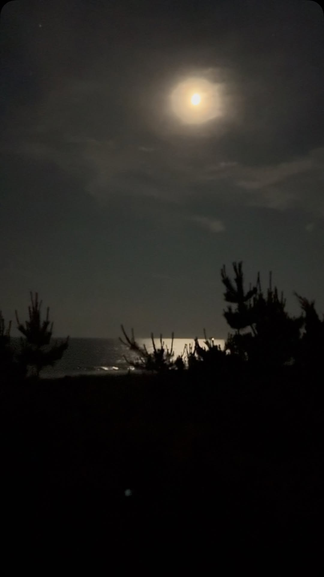 Goodnight moon.
X, SJ