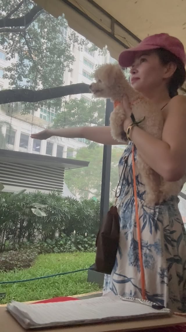 It was a beautiful morning out in the market, and then it rained cats and dogs…so it got even more beautiful. ❤️ I was curious to see how Alfie would react to the rain. He was afraid of the cold drops of water at first. They were big drops coming fast while he was running around the dog park but I knew we wouldn’t make it home in time so we stayed under a lovely lady’s open tent. Her name is Ms Armie and she sells beautiful flowers every Saturday in the Salcedo market. I got the orange and purple ones from her. I chatted with her for about half an hour as the rain got stronger and stronger. Ms Armie expertly tended to customers who were shockingly still buying bouquets despite the deluge 😂 and she would continue our conversations plus try and calm Alfie down with me (he was shaking at first)….all without missing a beat. It was so lovely to meet her and her son today.
After a few minutes, I saw Alfie perk up. He was staring at two beautiful little girls who were soaked in the rain, laughing with their dad while holding on to their watered down ice cream cones. I think they showed Alfie the rain was fun. They ended up under the same tent as us too, trying to pass the time. They were both very articulate at 2 and 4 years old. They asked me a lot of questions about Alfie and I noticed that the younger girl took a liking to my flowers so I gave her and her sister one each. After thanking me, the older sister suddenly blurted out “oh he’s so cute! I’m gonna remember him forever.” She looked up at me and her smile got shy as she asked “Do you think Alfie will remember me forever?” 🥹💕 I promised her he would.
#thestangersofsaturday