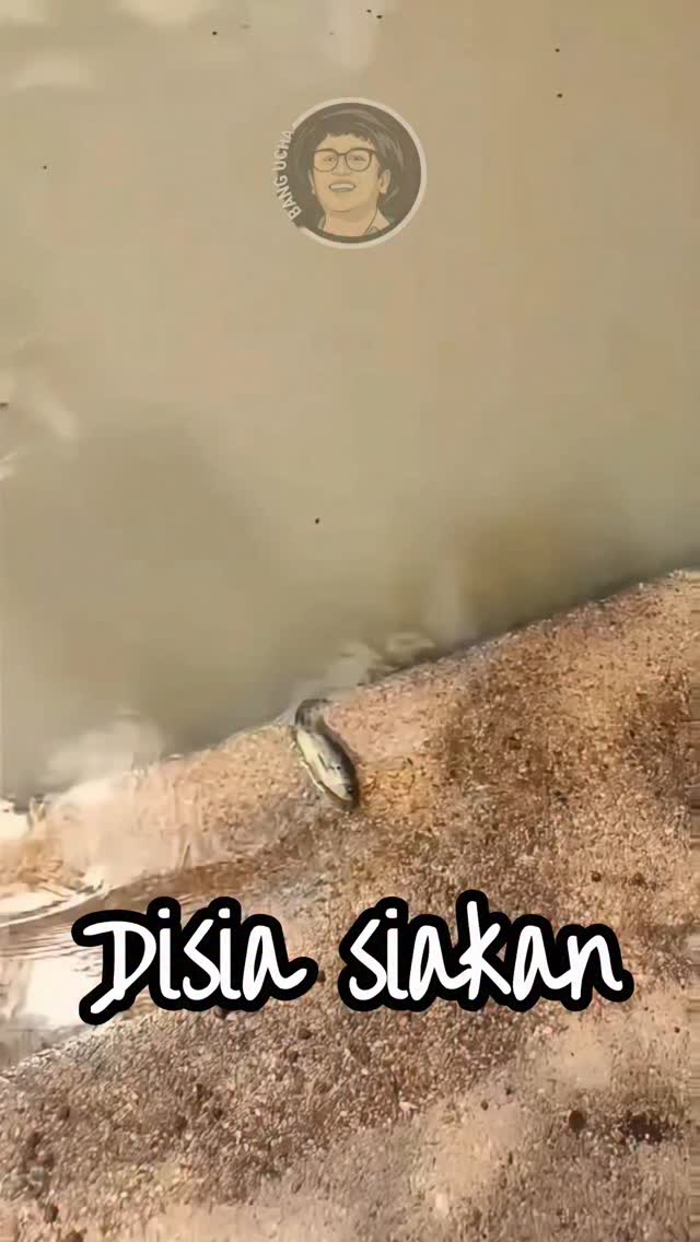 Ada yg paham DISIANGIN..??!!?? 😋🤭🤣🔥
#dubbinglucu
#komentatorlucu
#dubbinghewan
#dubbinghewanlucu