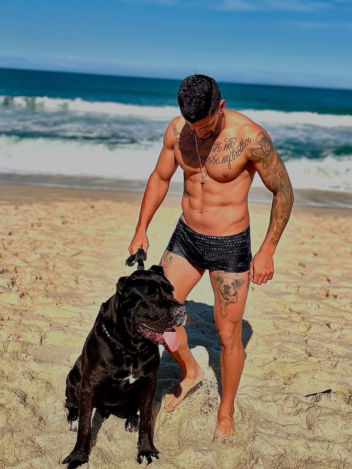 Quem tem um cachorro, sabe muito sobre amizade …