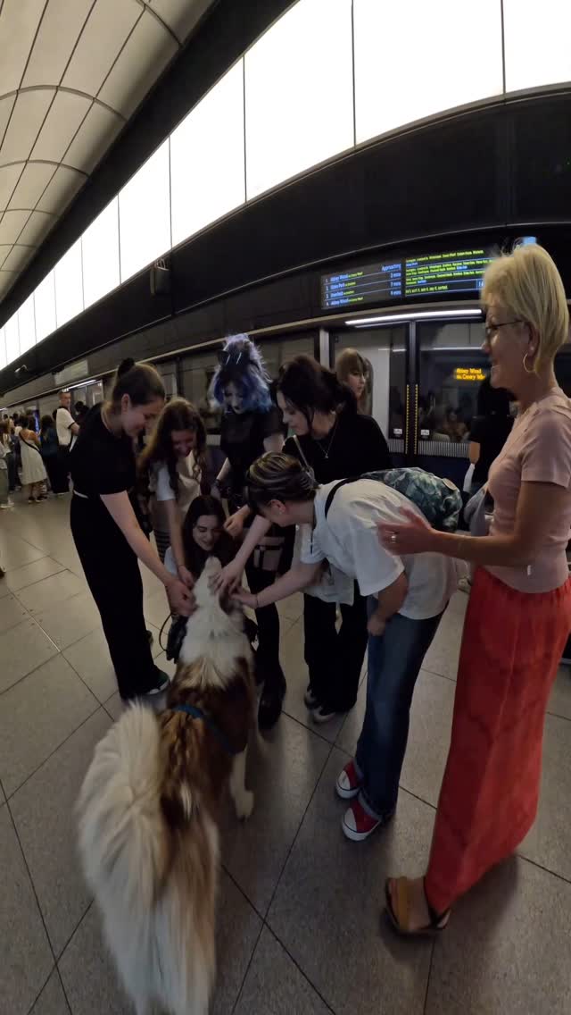 Interactions with my dog!!
#husky #dogs #dogsofinstagram #petsofinstagram #pet #dogsoflondon #trains #london #viralvideos #reels #instagram #wshh #puppy #animallovers #puppylove #fyp #celebrity #violasnow #trendingreels #repost #meta #subway #tube