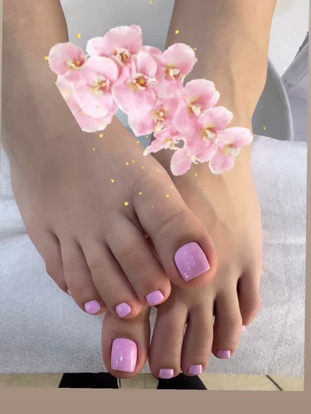 🌺🌺🌺