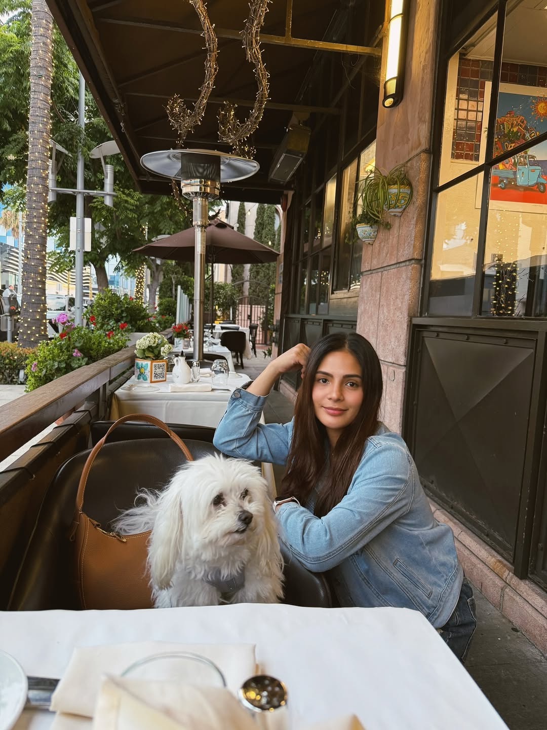 At this point, I should probably just give Señorito his own account 😂 Another walk = another 500 photos 🐶📸