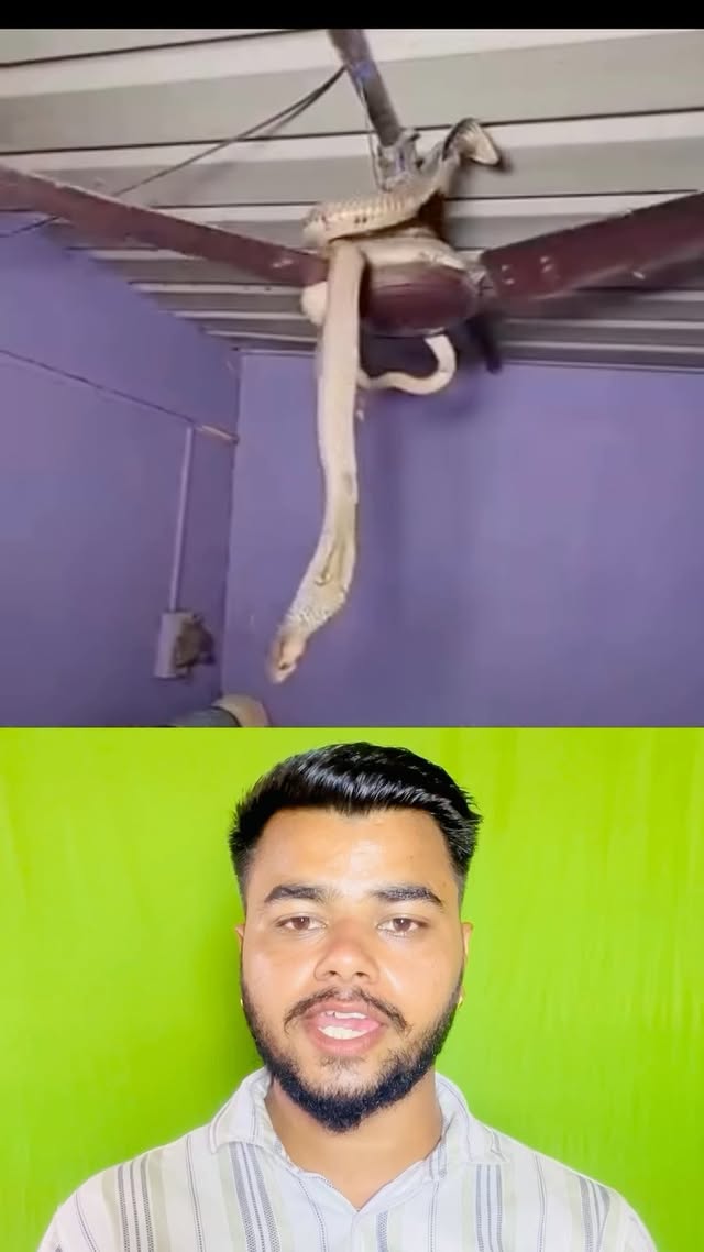 पंखे के नीचे सोने से एक लड़के की जान चली गई😧😧😭