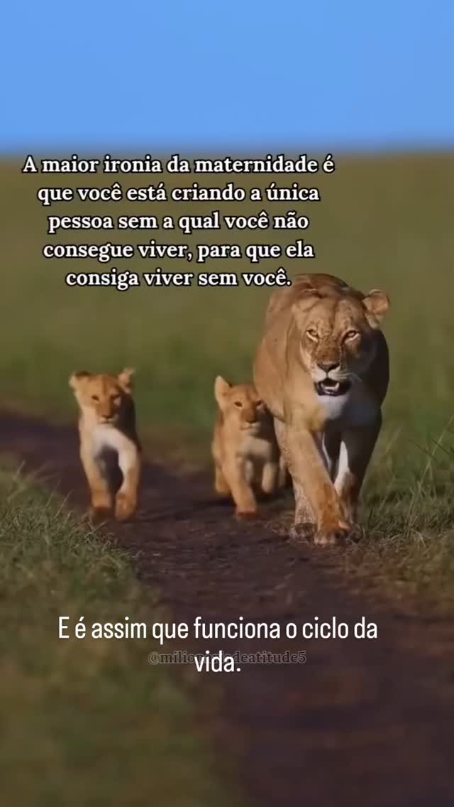 Toda mãe fica desesperada com essa frase.