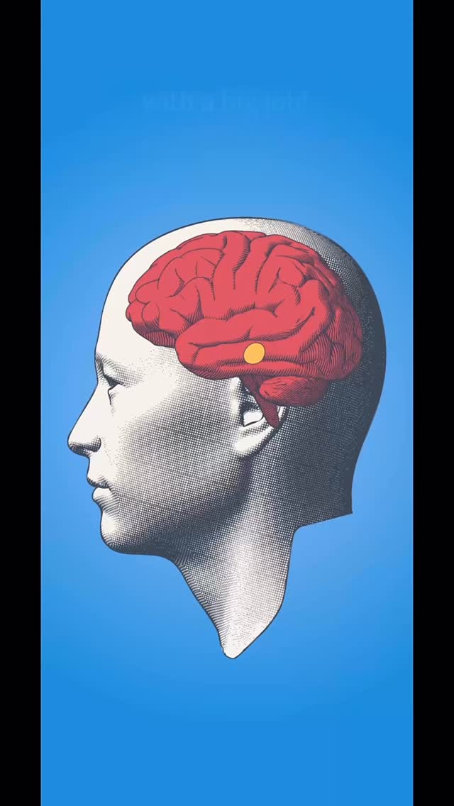 👀 A sneak peek inside Amygdalas - a new anxiety management app, designed to help you better understand and control your nervous system in real time! Use it to calibrate your inner alarm system whenever anxiety strikes!
Thank you @missmayim for being the voice of the app!
#anxietymanagment #amygdalas