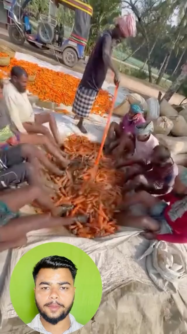 गाजर खाने वाले हो जाए सावधान !
:
:
:
#instagram #reels