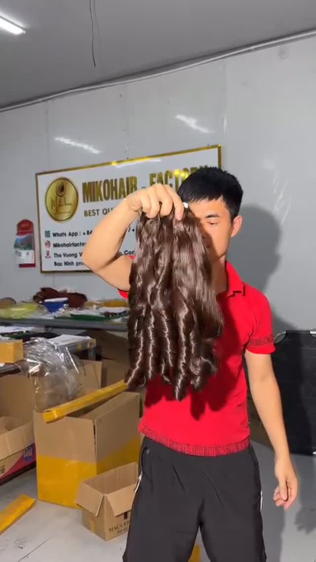 Chestnut brown bouncy