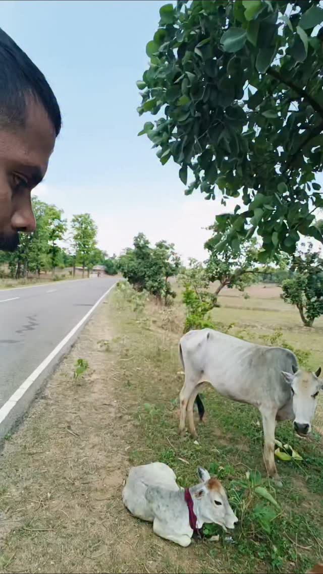 बिहानिया के बुता 😂 बेन्द्रा के समूह मीटिंग 😂😂
Good morning 🌞
Jai johar Jai Chattisgarh 🔥
.
.
.
.
#reels #viral #trending #jaijohar #reelkarofeelkaro #cg