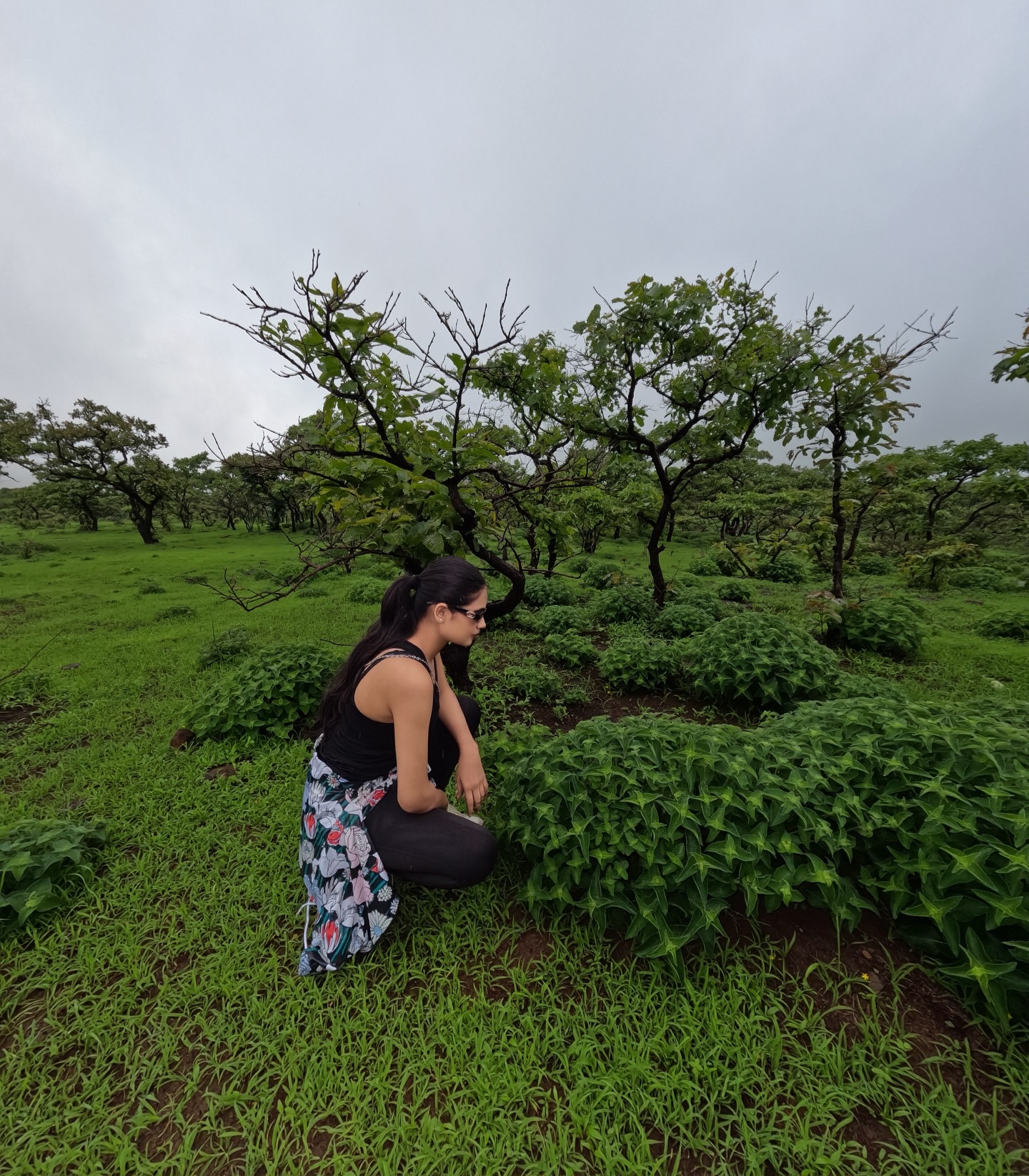 Sometimes, you don’t need a plan 🍃
.
.
#trekking #nature #greenery #mountain #walkinthewoods