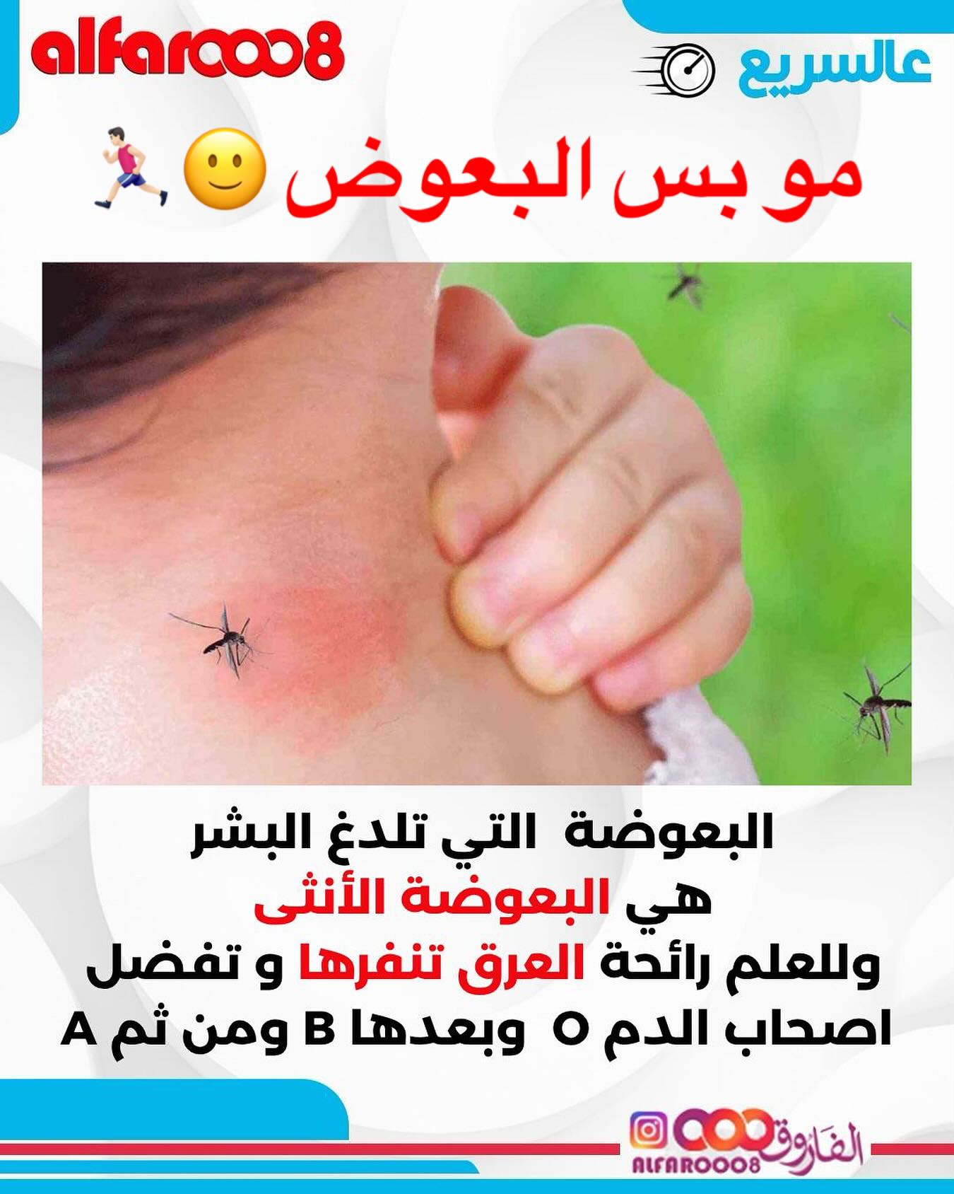 يتعرض بعض الأشخاص للدغات البعوض أكثر من غيرهم. وكشفت دراسات أن البعوضة تتمتع بقدرة على شم ضحاياها، وغالباً ما تنجذب نحو الأشخاص الذين لديهم مستويات بخار ماء أو حرارة محيطة بهم. كما أن هناك روائح معينة يفرزها جلد الإنسان، خاصة تلك التي تحتوي على أحماض دهنية، تجذب البعوض أكثر من غيرها. وعلى النقيض، فإن رائحة العرق ليست محببة للبعوض، فهو ينفر منها ويفضل البشرة الدافئة.
ويعتبر الأشخاص ذوي زمرة الدم (O) معرضون للدغات البعوض بمقدار ضعفين عن أصحاب فصيلة (A)، بينما يقع أصحاب فصيلة الدم (B) في المنتصف تماما بين حاملي الزمرتين السابقتين من حيث تعرضهم للدغات البعوض. كما أن الأشخاص الذين يخرجون مبكرًا عند الفجر يكونون أكثر عرضة.
أما بالنسبة للملابس، فالأشخاص الذين يلبسون ملابس ذات الألوان الداكنة والسوداء يكونون أكثر عرضة للدغات البعوض، ولكن البعوض يخاف من الألوان (الأخضر، والأزرق، والأبيض، والأرجواني) ويتجاهلها، فيما يطير البعوض ويقترب من الألوان الحمراء أو البرتقالية أو السوداء أو البنفسجية.
