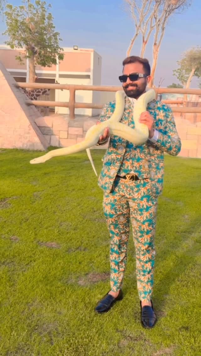 When you face your fears, you find your strength.🐍🧠
#DareToDream #luxurylifestyle #dubai🇦🇪 #snake #MindOverMatter #WildLifeVibes #PowerWithin #challengeaccepted