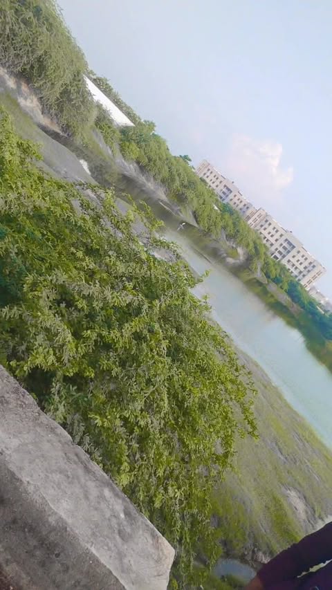 #_આવે_ઘણી_તારી_યાદ_રે _🥰😘💞
#rockstar_suresh_thakor_1_4_3_
.
.
.
.
.
.
.
.
.
.
.
.
.
.
.
.
.
.
.
.
.
.
.
.
.
.
.
.
.
.
.
##viral #reels #trending #instagood #video #digitalart #saregamapa #boom #mojj #singer #studio #viralreels #viral