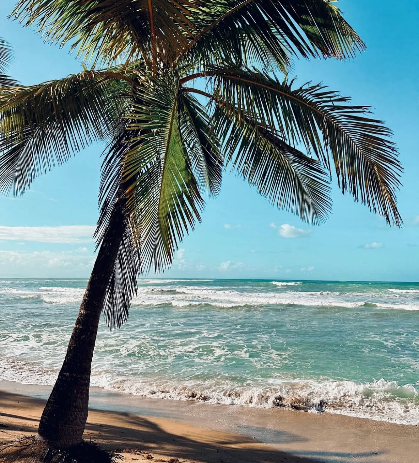 The beach is calling my name 🌴