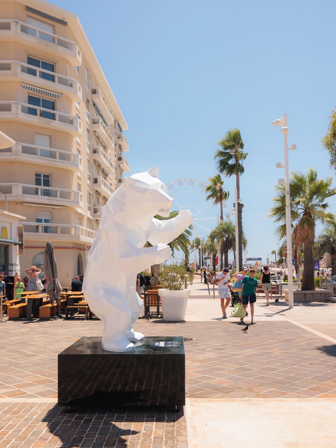 Discover Saint-Raphaël exhibition this summer 🐚🦀🌊
@villesaintraphael