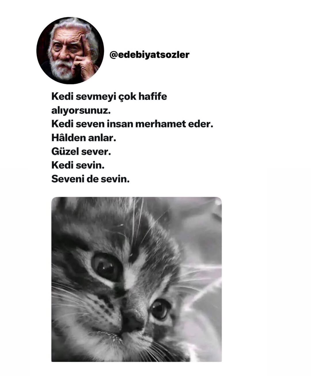 #şiir #oğuzatay #cemalsüreya #edipcansever #turgutuyar #kitapönerisi #nazimhikmet #edebiyat #edebiyatciherif_ #edebiyatsozler #edebiyatkulübü #kitapkurdu #kitap #gününsözü#canyücel #şiirsokakta #siirsokakta #güzelsözler #şiirheryerde #sözler #söz #alıntı #özdemirasaf #kitapiyikelimeler #nazimhikmet #osho #sabahattinali #orhanpamuk #yaşarkemal #cahitzarifoğlu #kitaptaniyisozler #edebiyatsozler