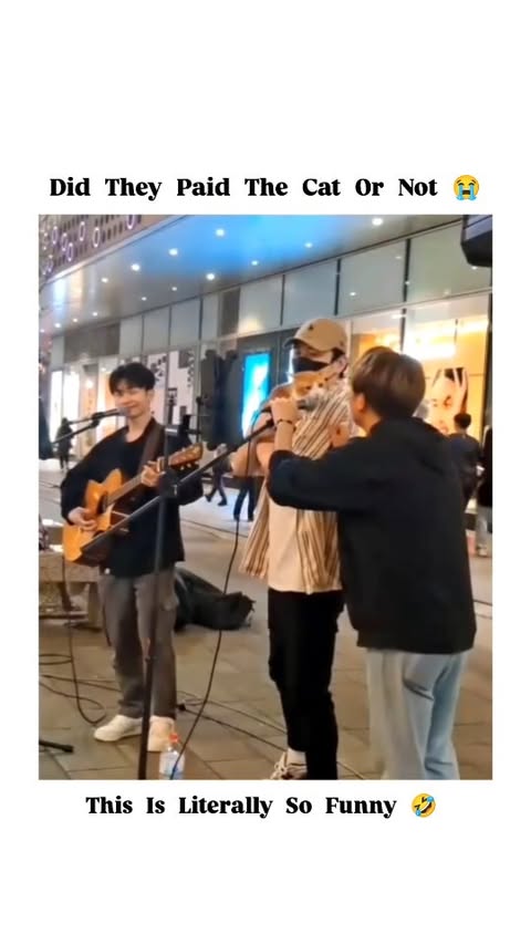 Street Beats & Kitty Feats – Meow in the Mic, Crowd Goes Hype! 🎶
---
Description:
Ever seen a street performance where a cat steals the entire spotlight? 🎤🐱 That’s exactly what’s happening here! These two talented guys were rocking their street jam session when their furry little friend decided to drop some unexpected beats—MEOW style! 😹🎶 In this viral moment, every time the cat says “meow” right into the mic, the crowd can’t help but laugh and cheer louder. It’s the cutest “feature artist” you’ll ever see! One guy’s strumming smooth acoustic vibes while the other hypes up the kitty like a true MC. This is what we call pure street magic – blending rhythm, talent, and a touch of feline freestyle. 🎸🎤😻
From casual passersby to dedicated fans, everyone’s loving the unplanned collaboration. This video is the proof that sometimes the most unexpected performers create the best memories. If you’re a music lover, a cat person, or just someone who loves good vibes, this video’s your new mood-lifter!
Hit follow for more spontaneous musical surprises, and let’s keep hyping up not just artists, but every meow in between. Because in this street session, every voice counts – even the furry ones!
🎥 Stay tuned @thesinging_vibes for more purrfect performances like this!
---
Hashtags:
#StreetMusicVibes #CatOnTheMic #FelineFreestyle #MusicWithMeow #ViralStreetPerformance #KittyCollab #AcousticAndCats #FunnyMusicVideo #HypeTheCat #StreetJamSession #ViralCatVideo #MeowVibesOnly #UnexpectedStar #CuteCatVideos #BuskingMagic #CrowdLovesIt #PurrfectPerformance #PetLoversUnite #MusicViralMoment #EpicMeowSessions
