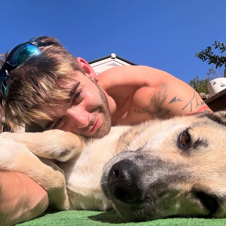 Summer spot 🌻🐾