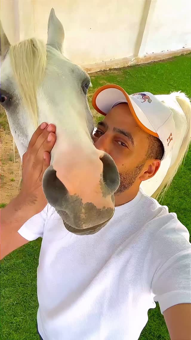 🪬💙🦄